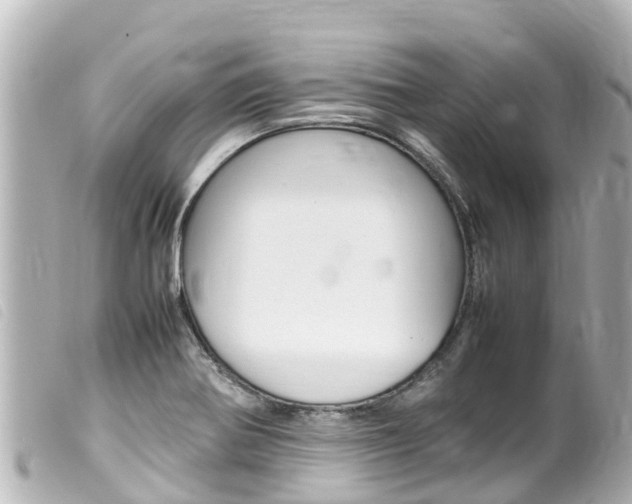 X0000100221370200805300738
