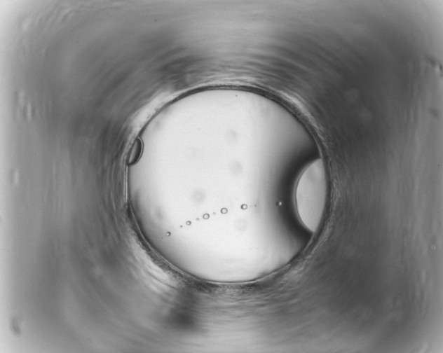 X0000100221371200805300738