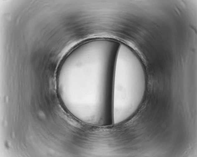 X0000100221372200805300738
