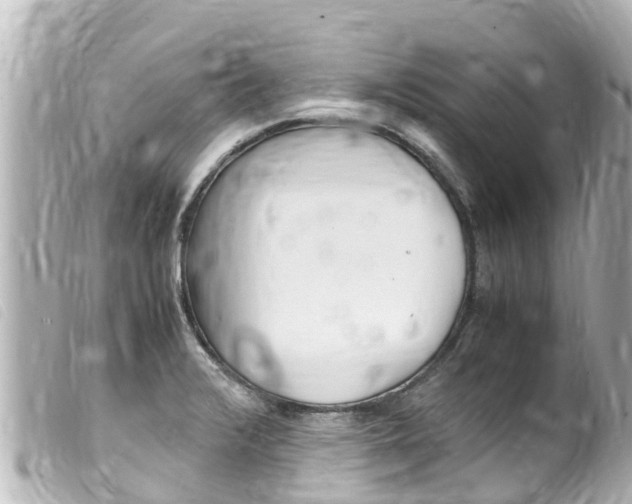 X0000100221376200805300738