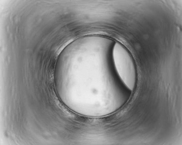 X0000100221377200805300738
