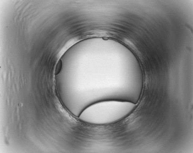 X0000100221378200805300738