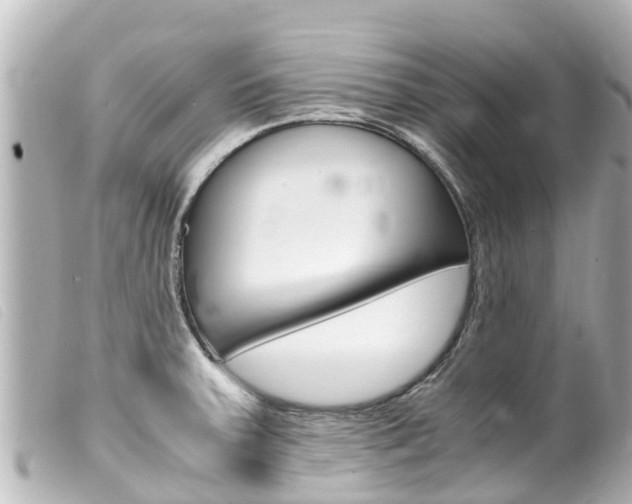 X0000100221379200805300738