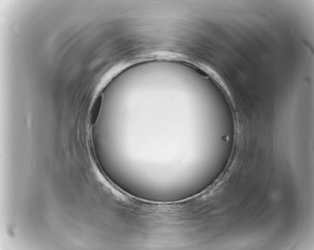 X0000100221381200805300738
