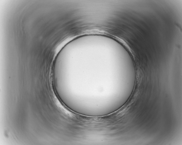 X0000100221387200805300738
