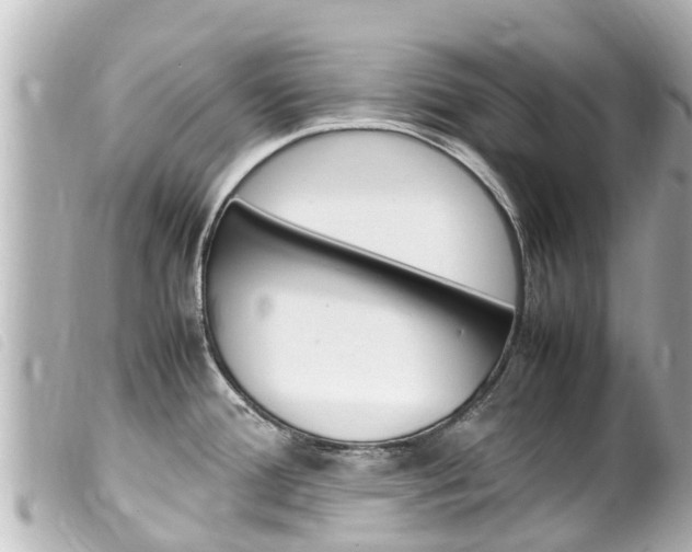 X0000100221388200805300738