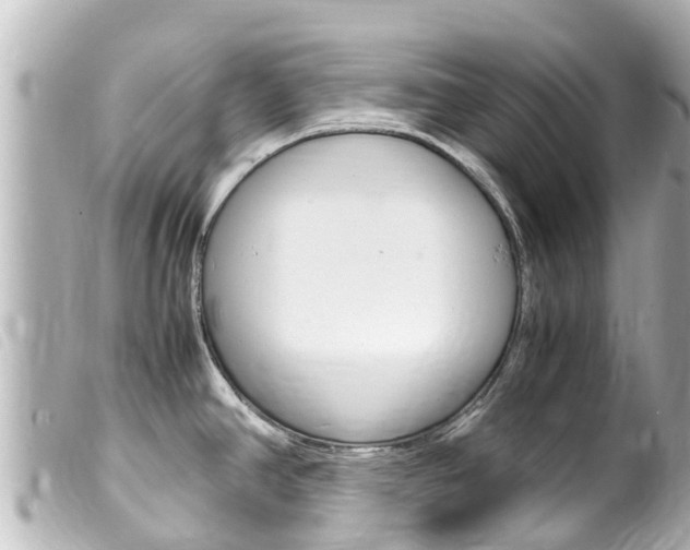 X0000100221390200805300738