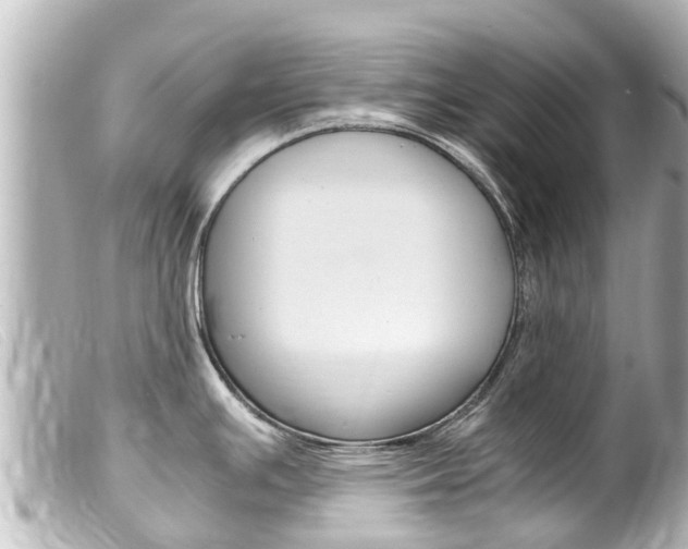 X0000100221391200805300738