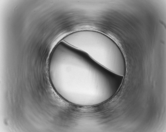 X0000100221392200805300738