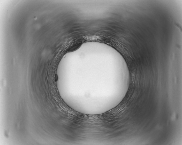 X0000100221393200805300737