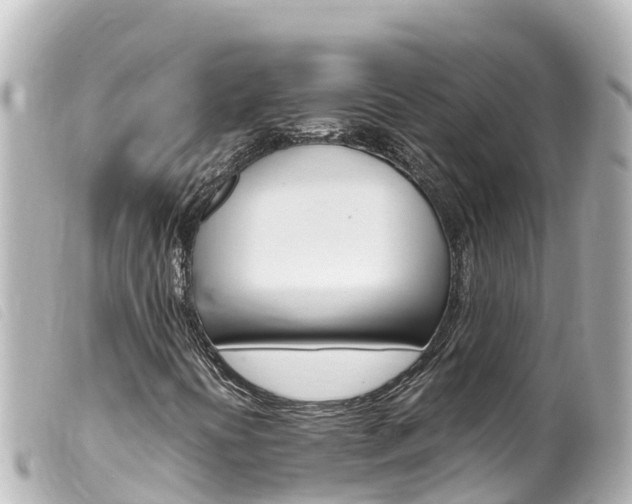 X0000100221394200805300737