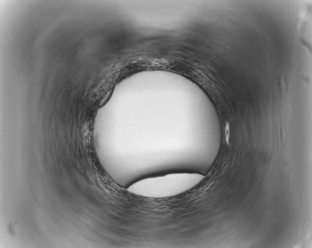 X0000100221395200805300737