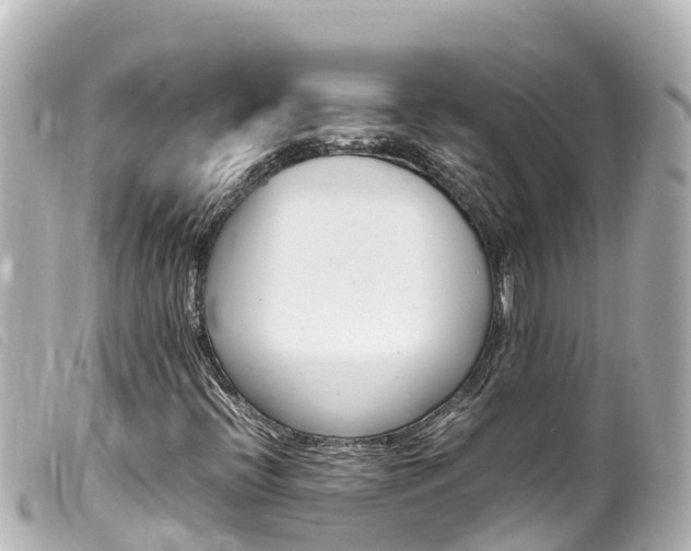 X0000100221396200805300737