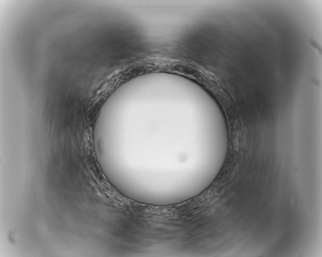 X0000100221397200805300737