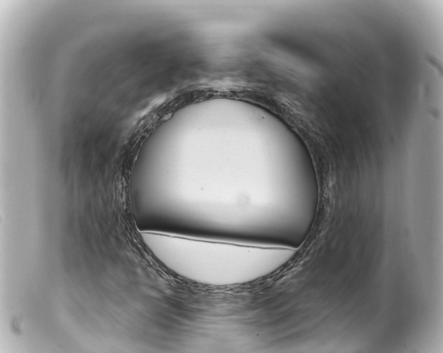 X0000100221398200805300737