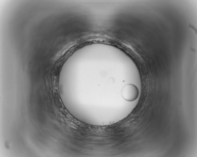 X0000100221399200805300737