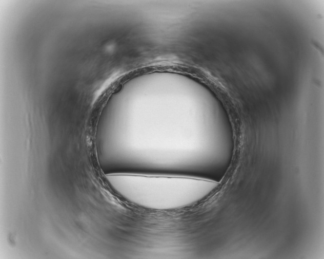 X0000100221400200805300737