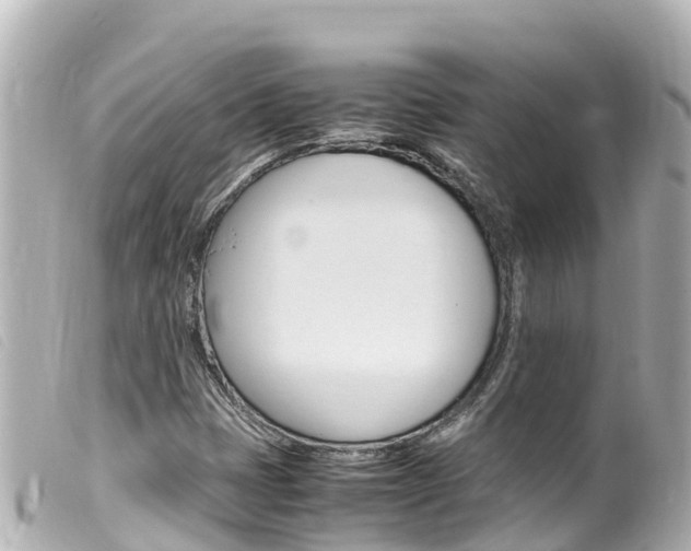 X0000100221401200805300737