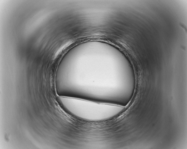X0000100221402200805300737