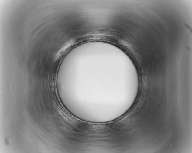 X0000100221403200805300737