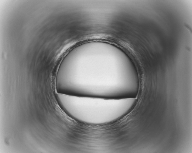 X0000100221404200805300737