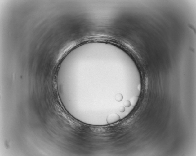 X0000100221405200805300737