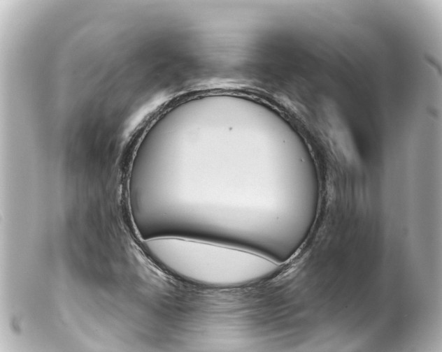 X0000100221406200805300737