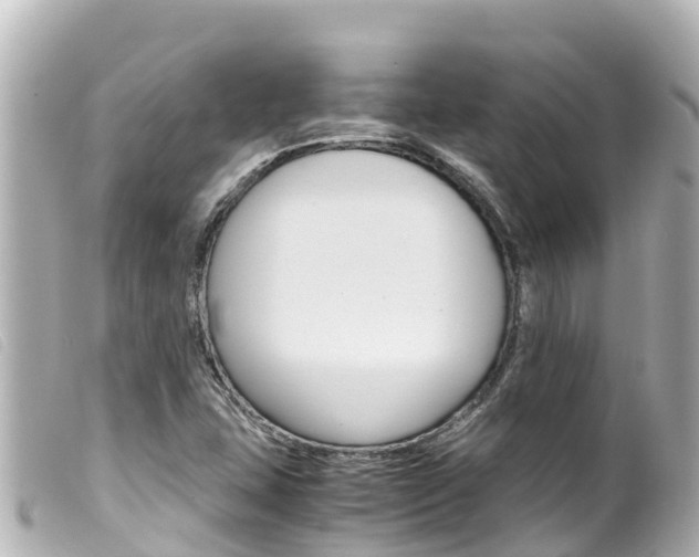 X0000100221407200805300737