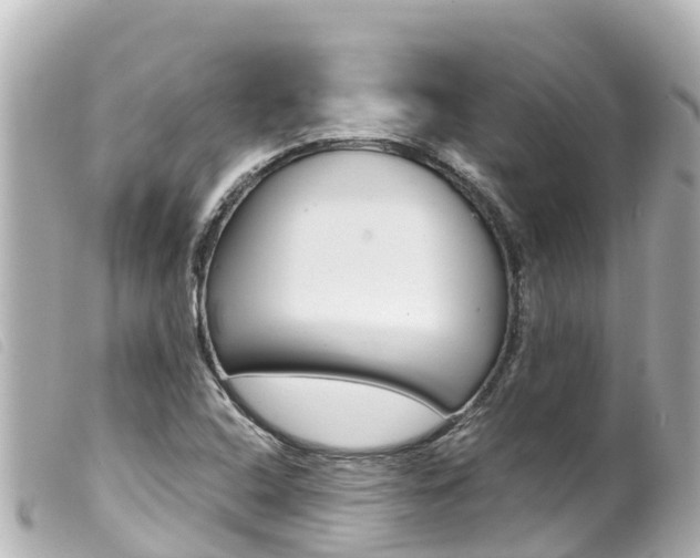 X0000100221408200805300737