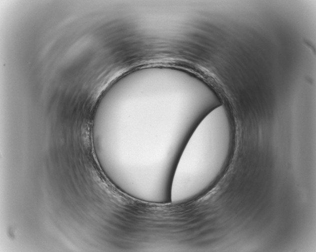 X0000100221409200805300738
