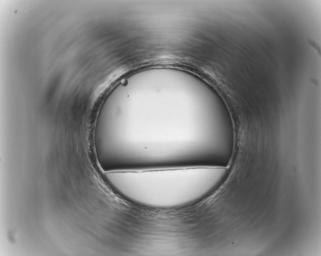 X0000100221410200805300738
