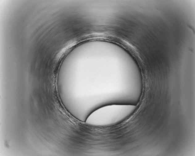 X0000100221411200805300738