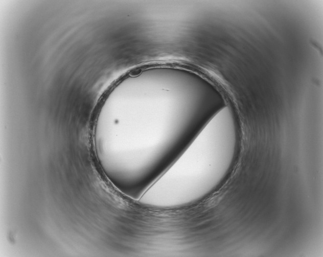 X0000100221412200805300738