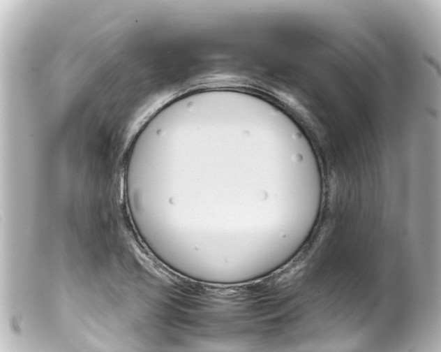 X0000100221413200805300738