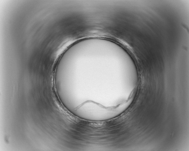 X0000100221415200805300738