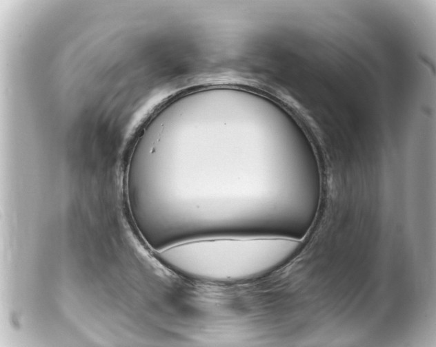 X0000100221416200805300738