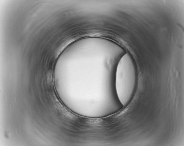 X0000100221417200805300738