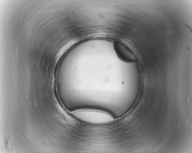 X0000100221418200805300738