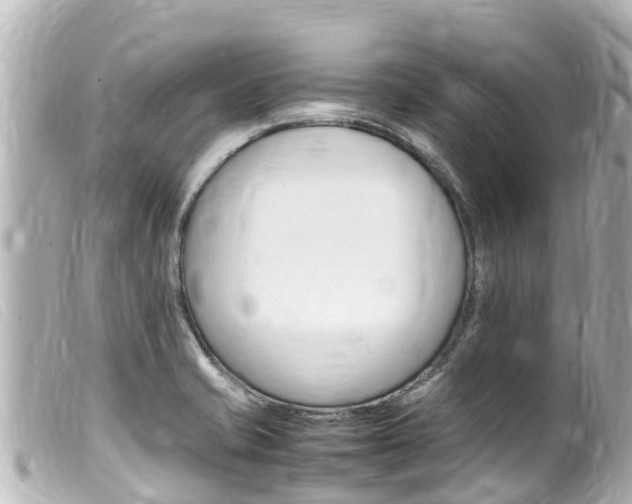 X0000100221421200805300738