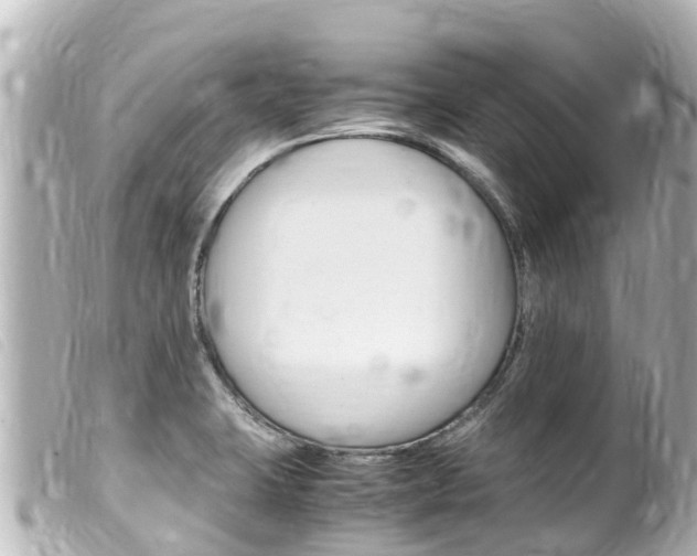 X0000100221423200805300738