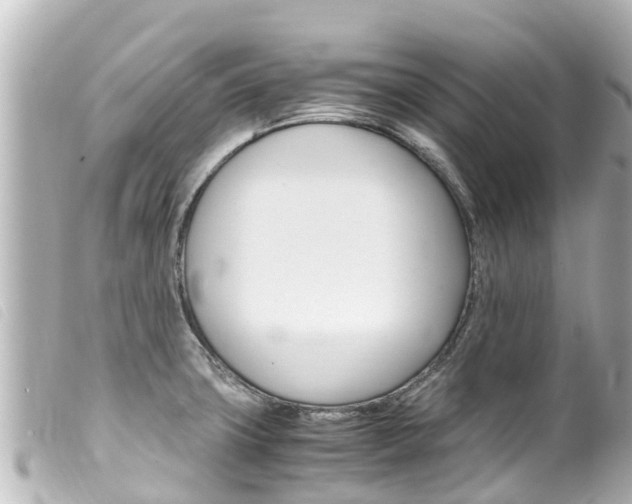 X0000100221427200805300738