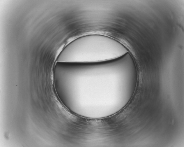 X0000100221428200805300738