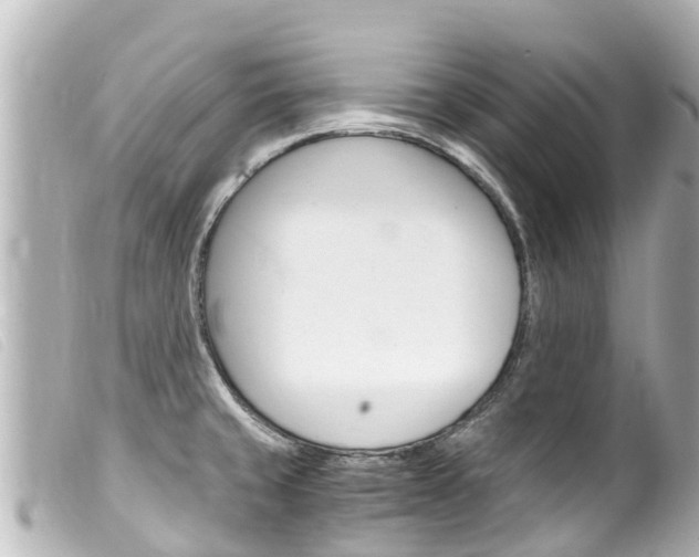 X0000100221429200805300738