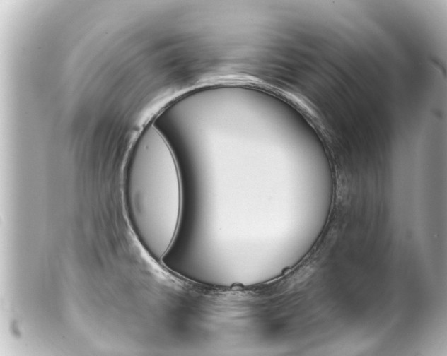 X0000100221430200805300738