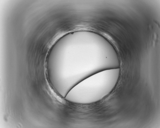 X0000100221431200805300738