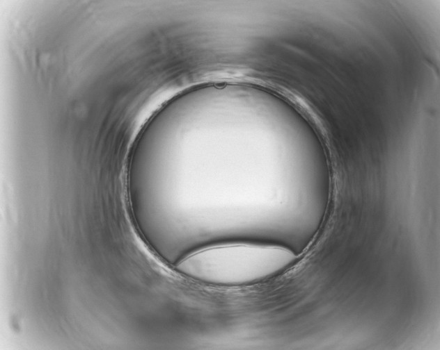 X0000100221432200805300738