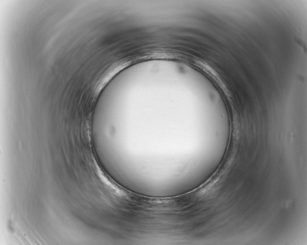 X0000100221433200805300738