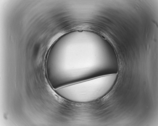 X0000100221434200805300738