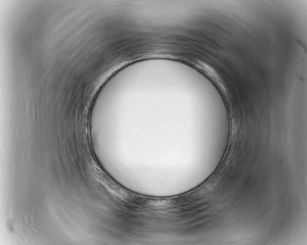 X0000100221435200805300738