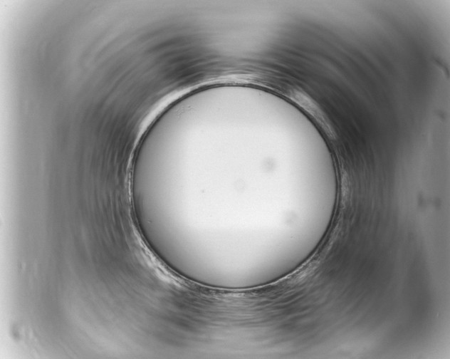 X0000100221436200805300738